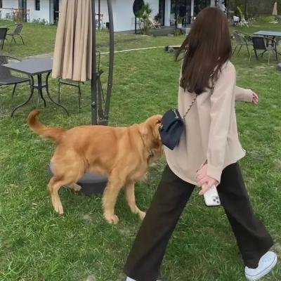 人力资本